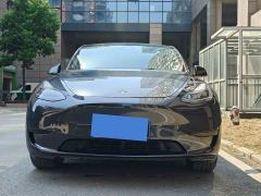 Tesla Model Y Rear-Wheel Drive - ფოტო 2