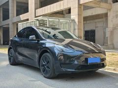 Tesla Model Y Rear-Wheel Drive - ფოტო 3