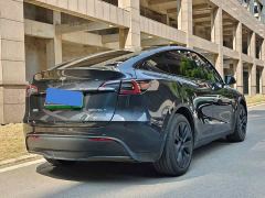 Tesla Model Y Rear-Wheel Drive - ფოტო 5