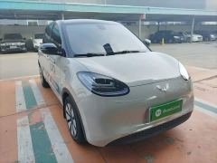 Wuling Binguo 333km Joy Edition - photo 3