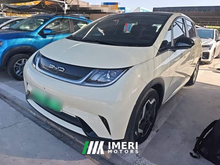 BYD Dolphin 405km Fashion Edition - ავტომობილი ჩინეთიდან