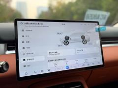 Blue Electric E5 PLUS 230km Extended Range Ultra 5-Seater - photo 5