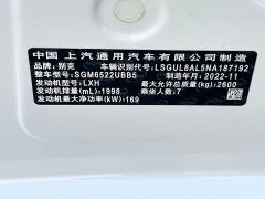 Buick GL8 ES LuZun Flagship - photo 11