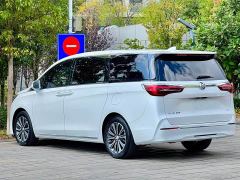 Buick GL8 ES LuZun Flagship - photo 7