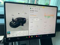 Tesla Model Y Rear-Wheel Drive - ფოტო 14