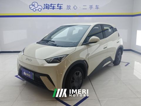 2025 BYD Seagull 305km Vitality Edition - ავტომობილი ჩინეთიდან