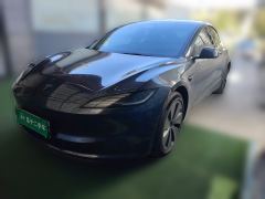 Tesla Model 3 606km Rear-Wheel Drive Edition - photo 1