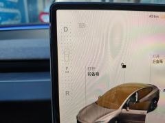 Tesla Model 3 606km Rear-Wheel Drive Edition - photo 15