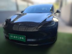 Tesla Model 3 606km Rear-Wheel Drive Edition - photo 2