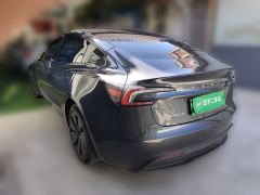 Tesla Model 3 606km Rear-Wheel Drive Edition - photo 4