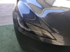 Tesla Model 3 606km Rear-Wheel Drive Edition - photo 7