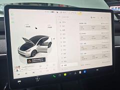 Tesla Model Y Long Range All-Wheel Drive - ფოტო 11