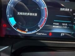 Tank 300 Off-Road Edition 2.0T Conqueror - ფოტო 11
