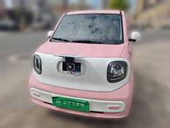 Bestune Besturn Xiaoma 222km Dynamic Edition - photo 2