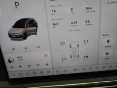 Li Auto L6 Pro - ფოტო 11