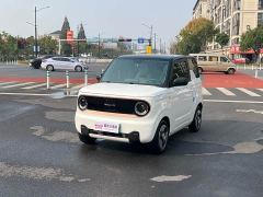 Geely Panda Mini 200km Agile Panda - ფოტო 1