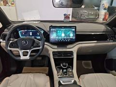 BYD Song Plus New Energy EV Premium - ფოტო 9