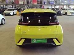 BYD Seagull Freedom Edition - photo 5