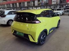 BYD Seagull Freedom Edition - photo 6