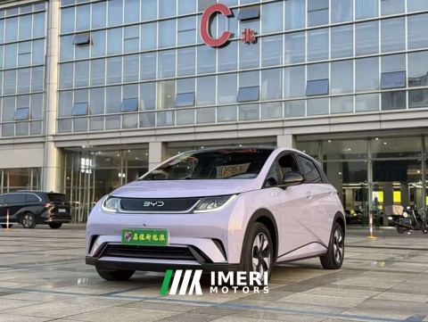 2024 BYD Dolphin Glory Edition 420km Fashion Version - ავტომობილი ჩინეთიდან
