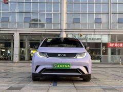 BYD Dolphin Glory Edition 420km Fashion Version - ფოტო 2