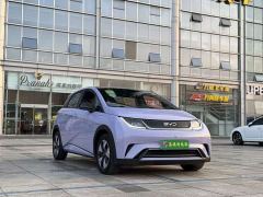 BYD Dolphin Glory Edition 420km Fashion Version - ფოტო 3