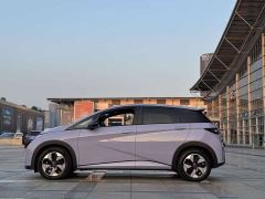 BYD Dolphin Glory Edition 420km Fashion Version - ფოტო 4