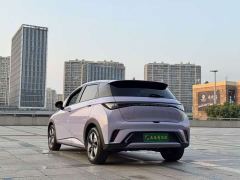 BYD Dolphin Glory Edition 420km Fashion Version - ფოტო 6