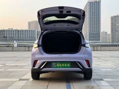 BYD Dolphin Glory Edition 420km Fashion Version - ფოტო 8