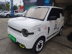 Geely Panda Mini 210km Vitality Edition - ფოტო 1
