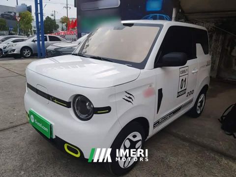 2026 Geely Panda Mini 210km Vitality Edition - car from China