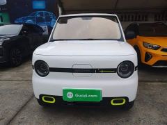 Geely Panda Mini 210km Vitality Edition - ფოტო 2