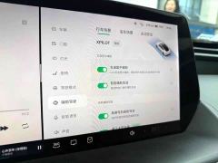XPeng P7 480N - photo 5