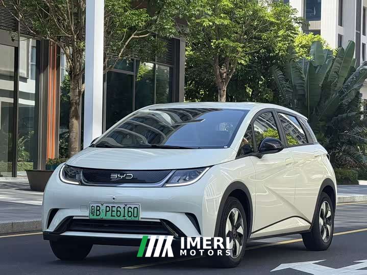 BYD Dolphin Glory Edition 420km Freedom Version - ავტომობილი ჩინეთიდან