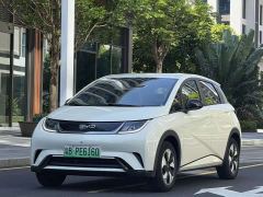 BYD Dolphin Glory Edition 420km Freedom Version - ფოტო 1