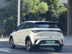 BYD Dolphin Glory Edition 420km Freedom Version - ფოტო 2
