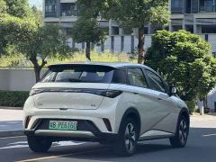 BYD Dolphin Glory Edition 420km Freedom Version - ფოტო 4