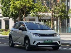 BYD Dolphin Glory Edition 420km Freedom Version - ფოტო 5