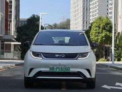 BYD Dolphin Glory Edition 420km Freedom Version - ფოტო 6
