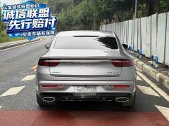 Geely Xingrui 2.0T Diesel Premium Edition - фото 9