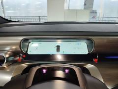 smart #1 Dynamic Luxury Edition - photo 11