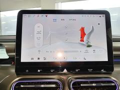 smart #1 Dynamic Luxury Edition - photo 12