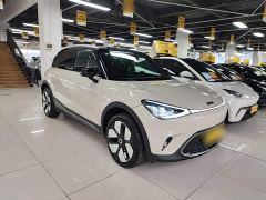 smart #1 Dynamic Luxury Edition - photo 3