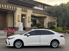 Toyota Corolla Hybrid 1.8L E-CVT Elite - photo 15