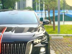 Hongqi H5 2.0T Automatic Smart Connected Flagship Comfort Edition - фото 12