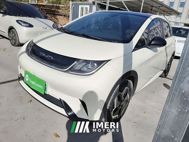 BYD Dolphin 405km Fashion Edition - ავტომობილი ჩინეთიდან