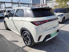 BYD Dolphin 405km Fashion Edition - ფოტო 4