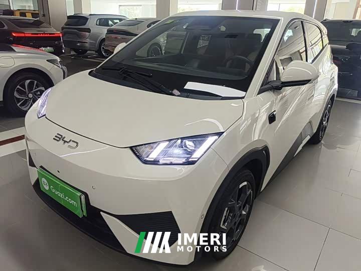 BYD Seagull Smart Driving Edition 305km Freedom Edition