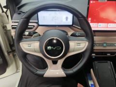 BYD Seagull Smart Driving Edition 305km Freedom Edition - ფოტო 10