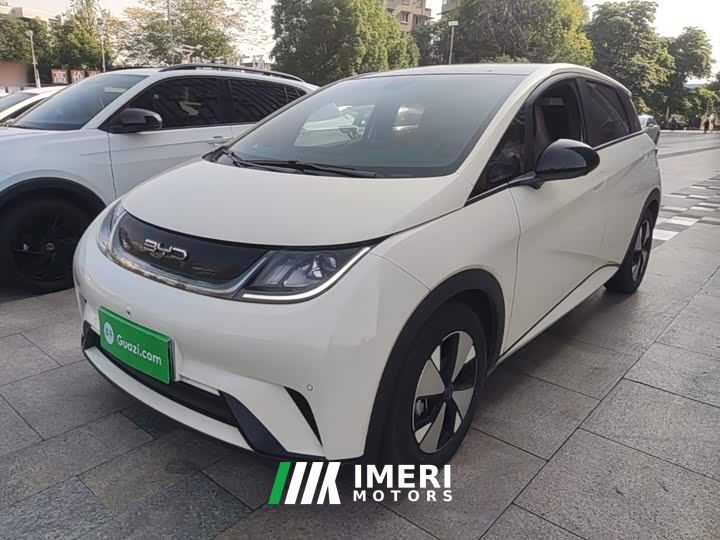 BYD Dolphin 420km Fashion Edition
